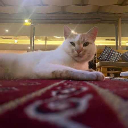 Petra Wassaif Camp Hotel Wadi Musa Buitenkant foto